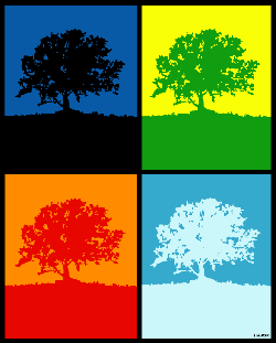 [image: Four Seasons]